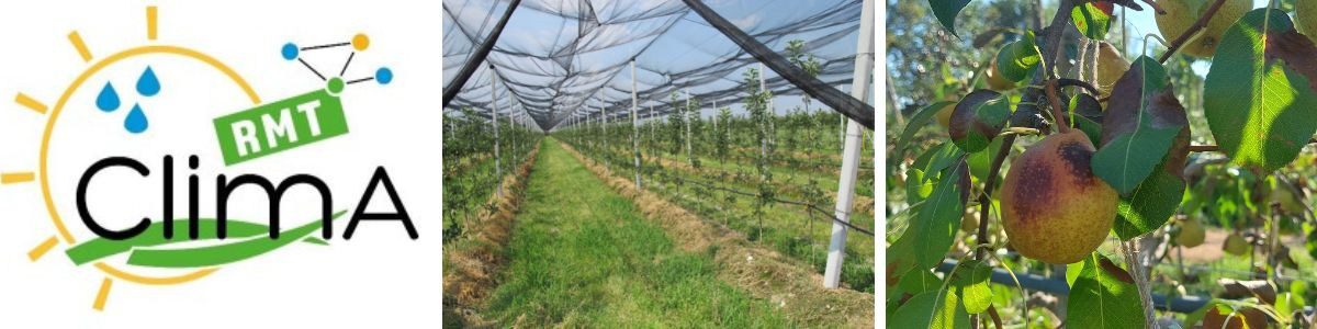 découvrez comment l'adaptation des cultures peut optimiser les rendements agricoles face aux changements climatiques. apprenez les techniques innovantes et durables pour renforcer la résilience de vos cultures.