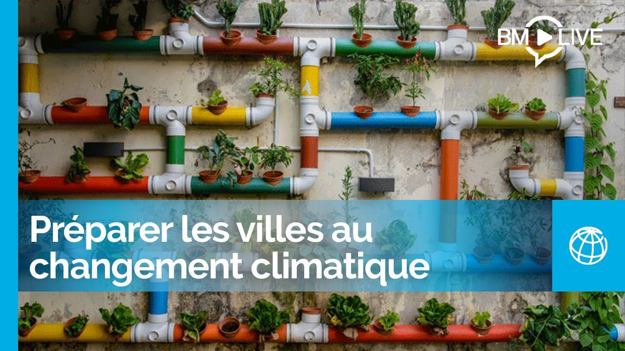 découvrez comment les villes s'adaptent et innovent face aux défis du changement climatique. explorez des solutions durables, des initiatives locales et des stratégies pour construire un avenir résilient.