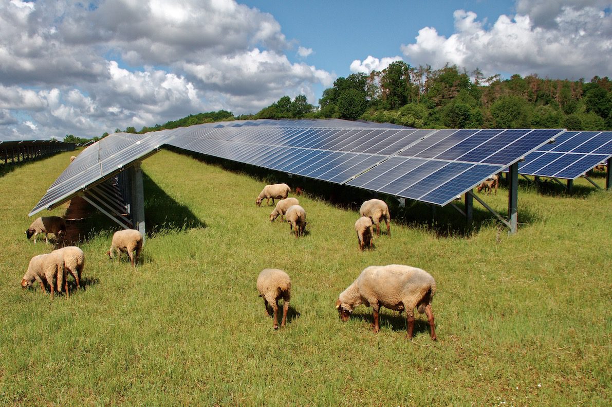 découvrez comment les agriculteurs peuvent adopter des solutions d'électricité durable pour réduire leur empreinte carbone, optimiser leurs coûts énergétiques et promouvoir une agriculture plus verte et responsable. informez-vous sur les technologies renouvelables adaptées à vos besoins agricoles.