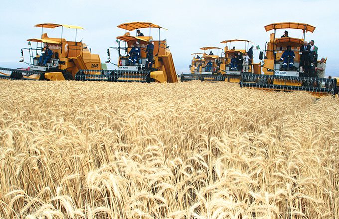 découvrez les dernières innovations en matière de productivité agricole, révolutionnant les méthodes traditionnelles et propulsant l'agriculture vers un avenir durable. explorez des technologies avancées, des pratiques durables et des solutions innovantes pour maximiser les rendements et améliorer la qualité des cultures.