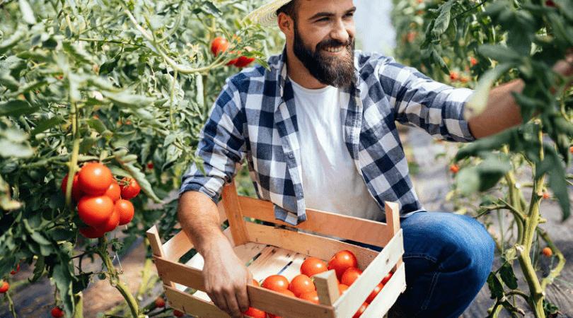 découvrez comment débuter dans l'agriculture écologique avec nos conseils pratiques et ressources. apprenez à cultiver votre jardin de manière durable, en respectant l'environnement et la biodiversité. transformez vos pratiques agricoles pour une alimentation saine et responsable.