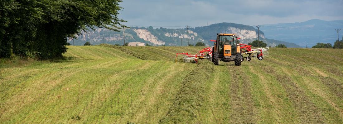 découvrez comment réaliser une estimation précise de votre exploitation agricole. notre guide complet vous accompagne dans l'évaluation de la valeur de vos terres, de vos équipements et de vos productions afin d'optimiser votre gestion et de maximiser vos profits.