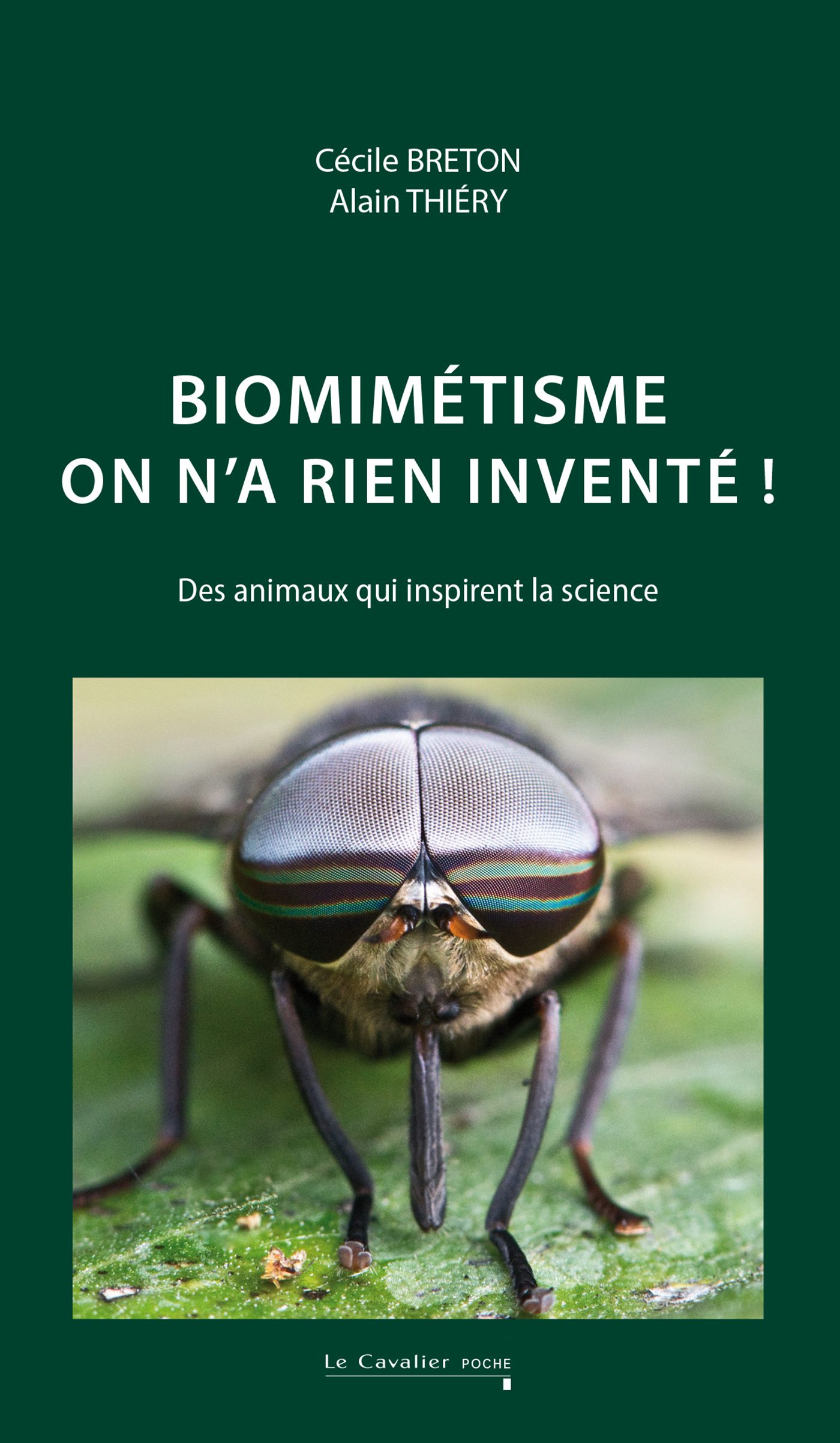découvrez comment la biomimétique s'inspire des stratégies de la nature pour promouvoir une écologie durable. apprenez à intégrer des solutions innovantes basées sur les mécanismes biologiques dans vos pratiques environnementales.