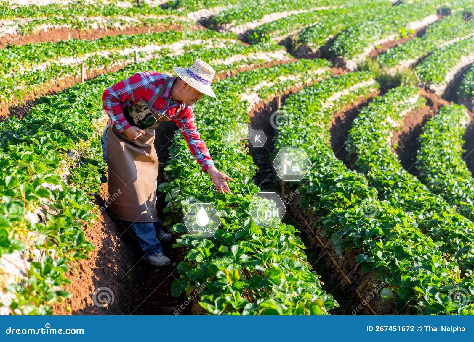 découvrez comment la technologie révolutionne le secteur agricole en améliorant les rendements, optimisant les ressources et facilitant la gestion des cultures. explorez les innovations clés qui transforment l'agriculture moderne.
