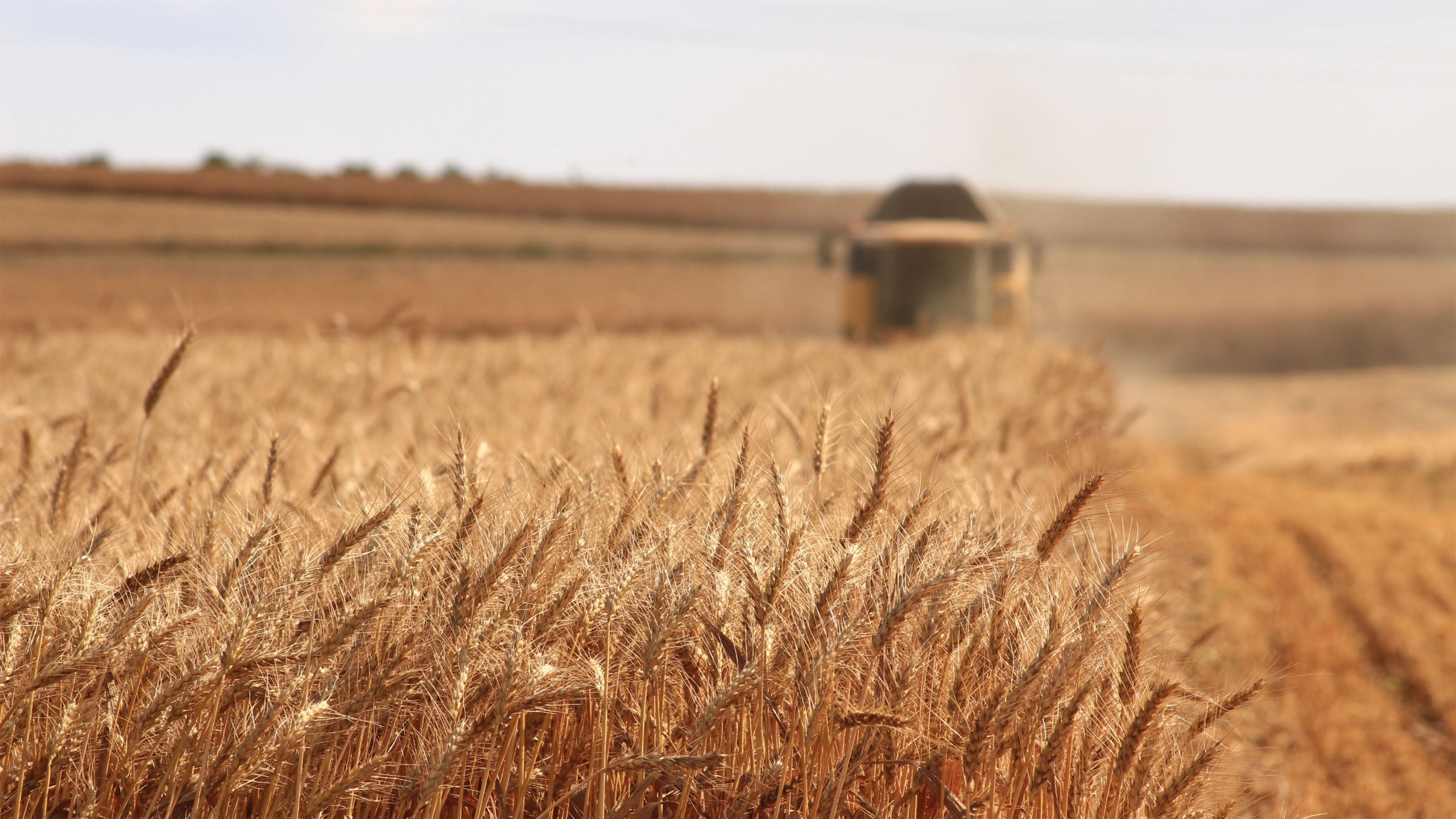 découvrez comment les données transforment l'agriculture moderne. explorez l'impact des technologies numériques et des analyses de données sur les pratiques agricoles, la gestion des ressources et l'optimisation des récoltes.