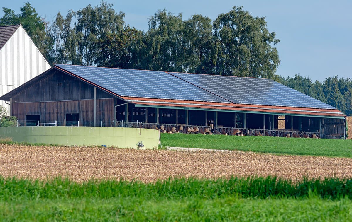 découvrez les avantages d'un hangar agricole solaire : une solution durable et économique pour vos cultures, optimisant l'énergie renouvelable tout en protégeant vos équipements agricoles. profitez d'une construction adaptée à vos besoins spécifiques et réduisez votre empreinte carbone.