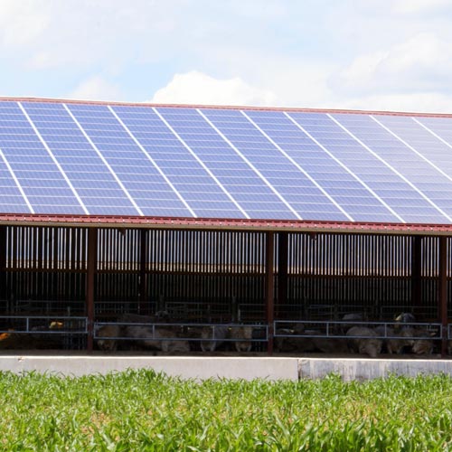 découvrez notre solution innovante de hangar photovoltaïque pour la transformation énergétique. optimisez l'espace de votre exploitation tout en produisant une énergie propre et durable grâce aux panneaux solaires intégrés. transformez votre hangar en un atout écologique et économique.