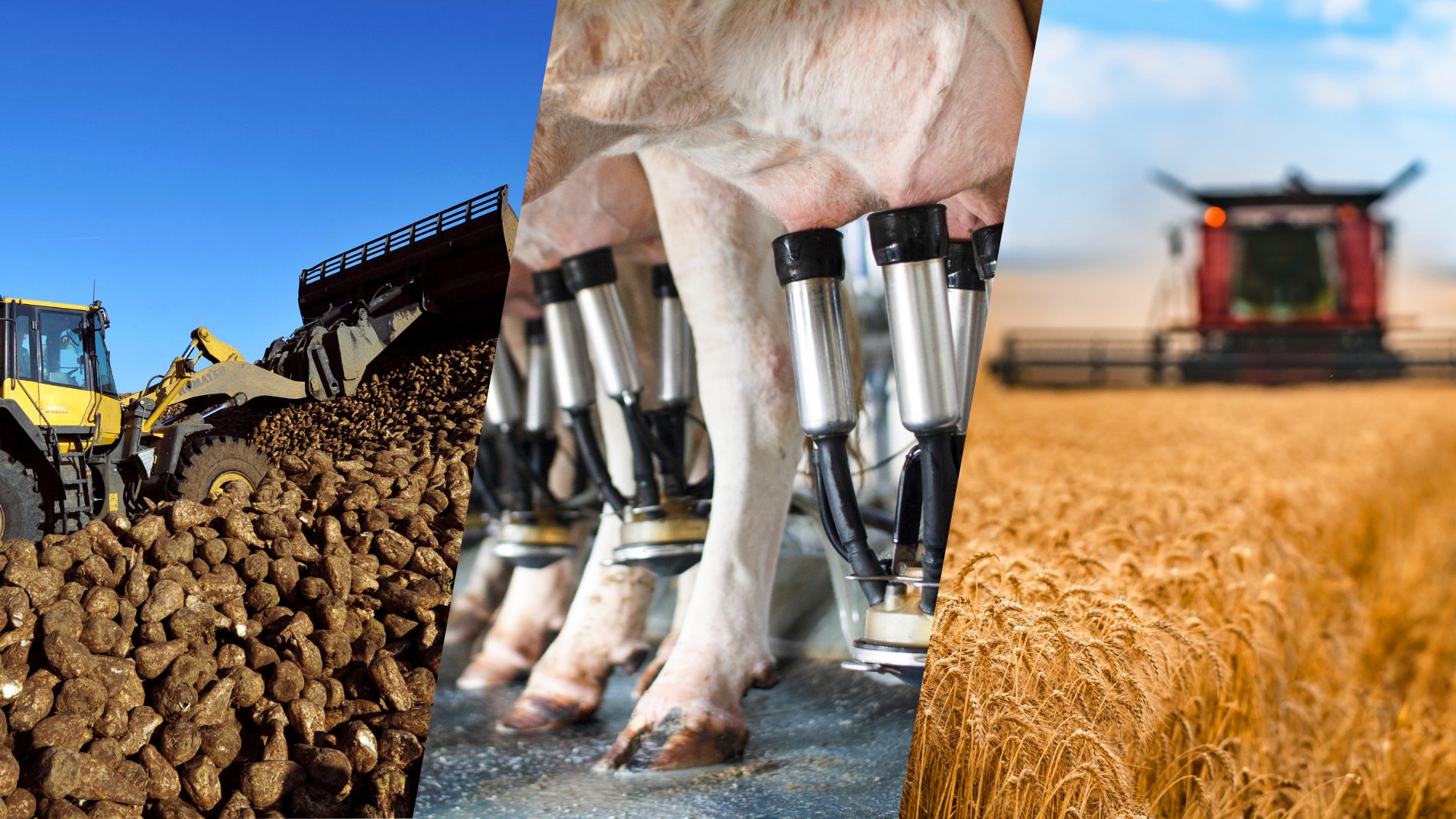 découvrez notre comparatif agrisol sur l'agriculture durable : analyse des techniques et pratiques innovantes pour une production responsable et respectueuse de l'environnement. explorez les avantages et les inconvénients de chaque méthode pour faire le meilleur choix pour l'avenir de l'agriculture.