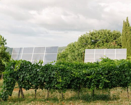 découvrez comment les systèmes photovoltaïques agricoles transforment l'agriculture durable en optimisant la production énergétique tout en réduisant les coûts. explorez les avantages de cette technologie pour les exploitations agricoles et l'environnement.