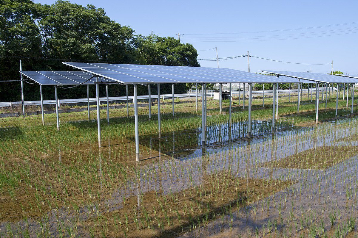 découvrez comment les systèmes photovoltaïques agricoles transforment l'agriculture durable en optimisant la production d'énergie tout en préservant l'environnement. explorez les avantages, les technologies innovantes et les témoignages d'agriculteurs qui intègrent ces solutions écologiques dans leur pratique.