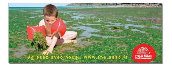 découvrez comment la publicité verte promeut des choix durables et sensibilise à la conscience écologique. explorez des initiatives innovantes qui allient marketing et respect de l'environnement.