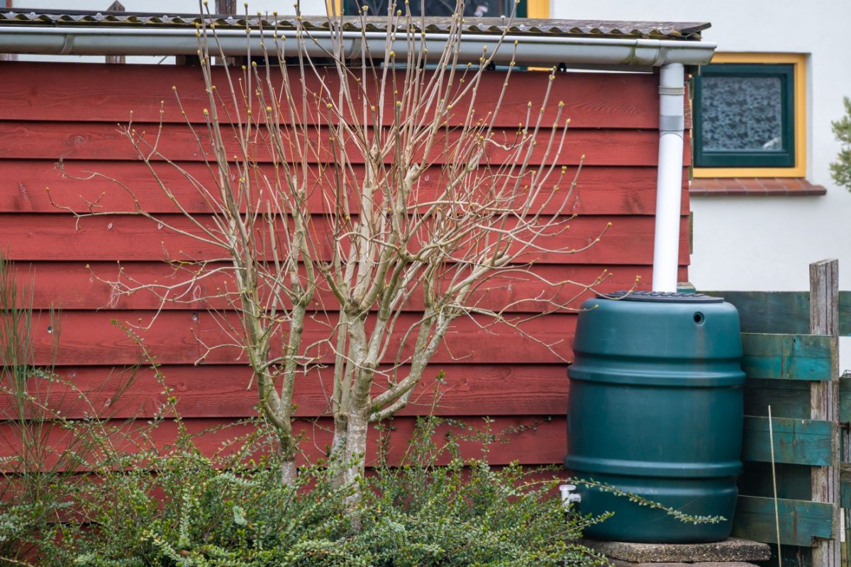 découvrez comment la récupération d'eau de pluie peut vous aider à réaliser des économies significatives tout en préservant l'environnement. apprenez les méthodes efficaces de collecte et d'utilisation de l'eau de pluie pour un quotidien plus durable.
