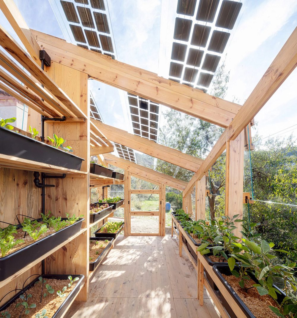 découvrez comment une serre photovoltaïque transforme votre jardin en une source d'énergie durable. apprenez à optimiser l'espace tout en cultivant des plantes et en produisant de l'électricité grâce à cette solution innovante et écologique.