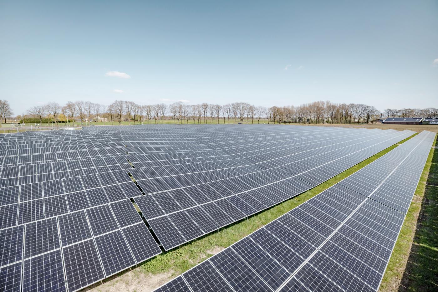 découvrez notre ferme durable dédiée à l'énergie photovoltaïque, où nous combinons agriculture responsable et production d'énergie renouvelable pour un avenir plus vert. rejoignez-nous dans notre mission pour une planète plus saine!