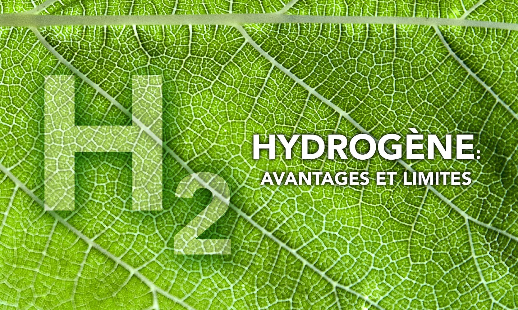 découvrez notre avis sur cap vert énergie, le leader des énergies renouvelables. analyse des services offerts, des projets en cours et des témoignages clients pour vous aider à faire le bon choix en matière d'énergie durable.