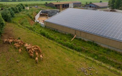 découvrez un hangar agricole spacieux de 720 m², idéal pour vos besoins de stockage et d'exploitation. profitez de panneaux solaires intégrés pour une solution écoénergétique qui allie durabilité et performance. optimisez votre activité agricole tout en respectant l'environnement.
