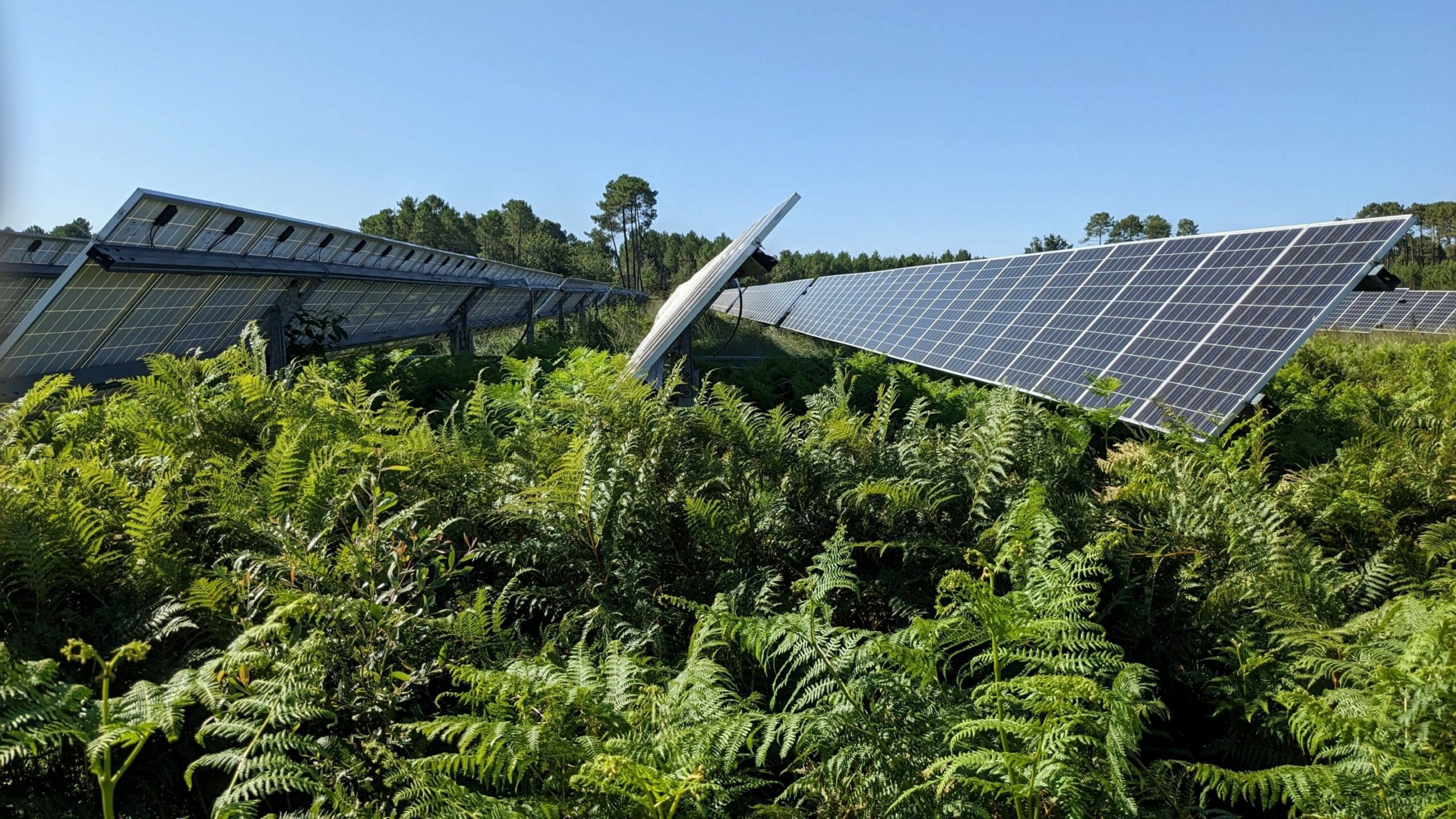 découvrez des opportunités uniques d'investissement dans le secteur des bâtiments photovoltaïques. maximisez vos revenus tout en contribuant à un avenir durable grâce à l'énergie solaire. ne manquez pas cette chance d'intégrer une technologie innovante et éco-responsable dans vos projets immobiliers.