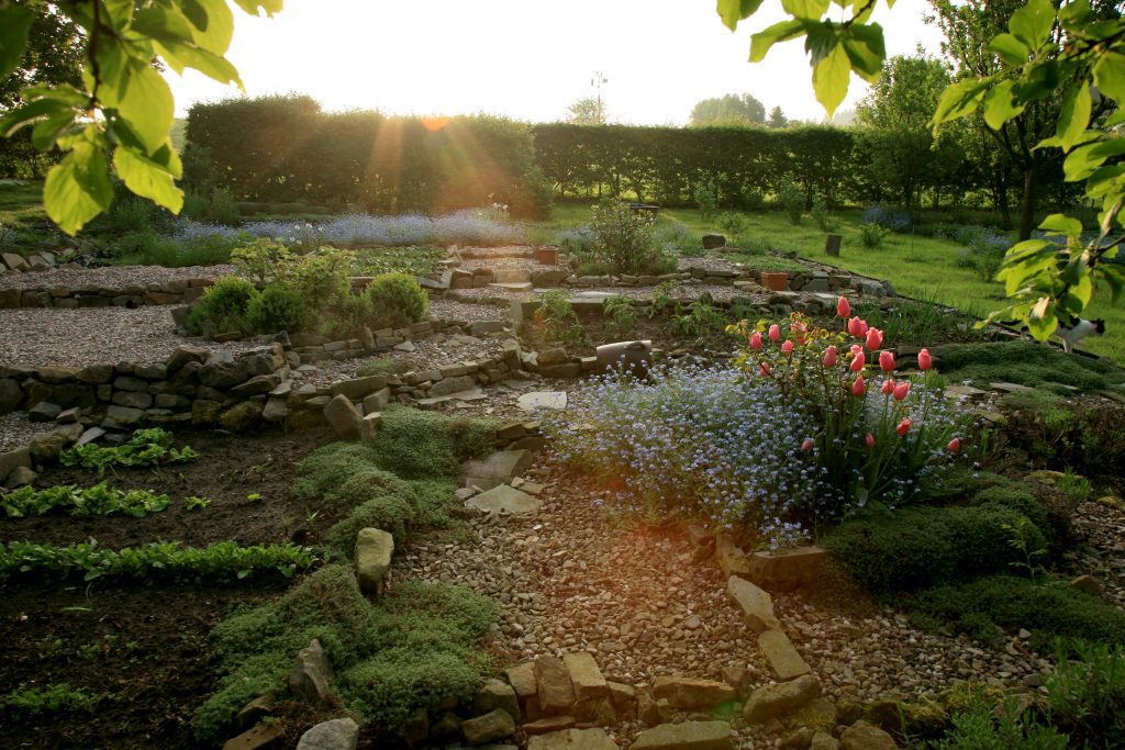 découvrez l'univers de la permaculture, une méthode de culture durable qui respecte l'environnement et favorise la biodiversité. apprenez à cultiver votre jardin de manière éthique et productive en harmonie avec la nature.