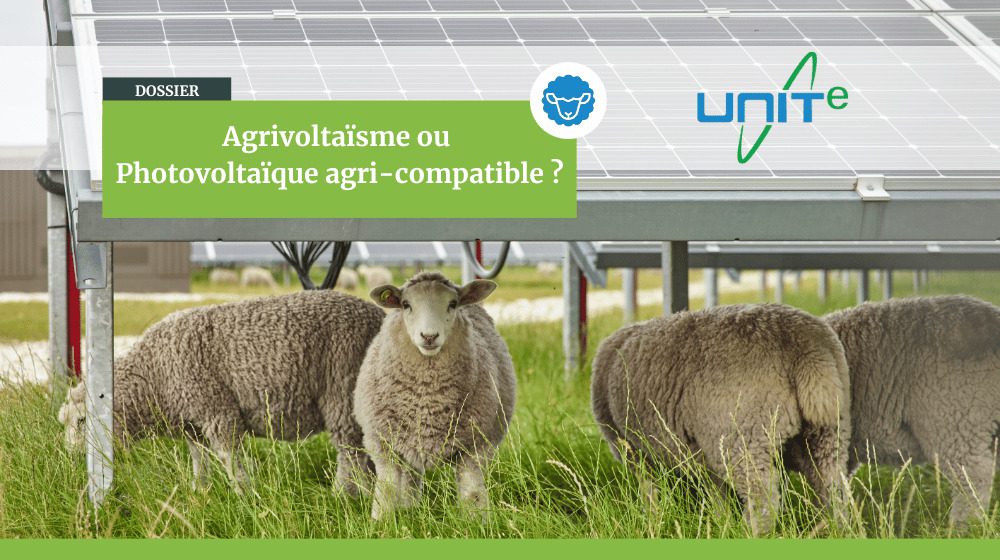découvrez les avantages de l'agri photovoltaïque durable, une solution innovante qui allie agriculture et énergie solaire. apprenez comment cette pratique contribue à la préservation de l'environnement tout en maximisant les rendements agricoles et en réduisant les coûts d'énergie.