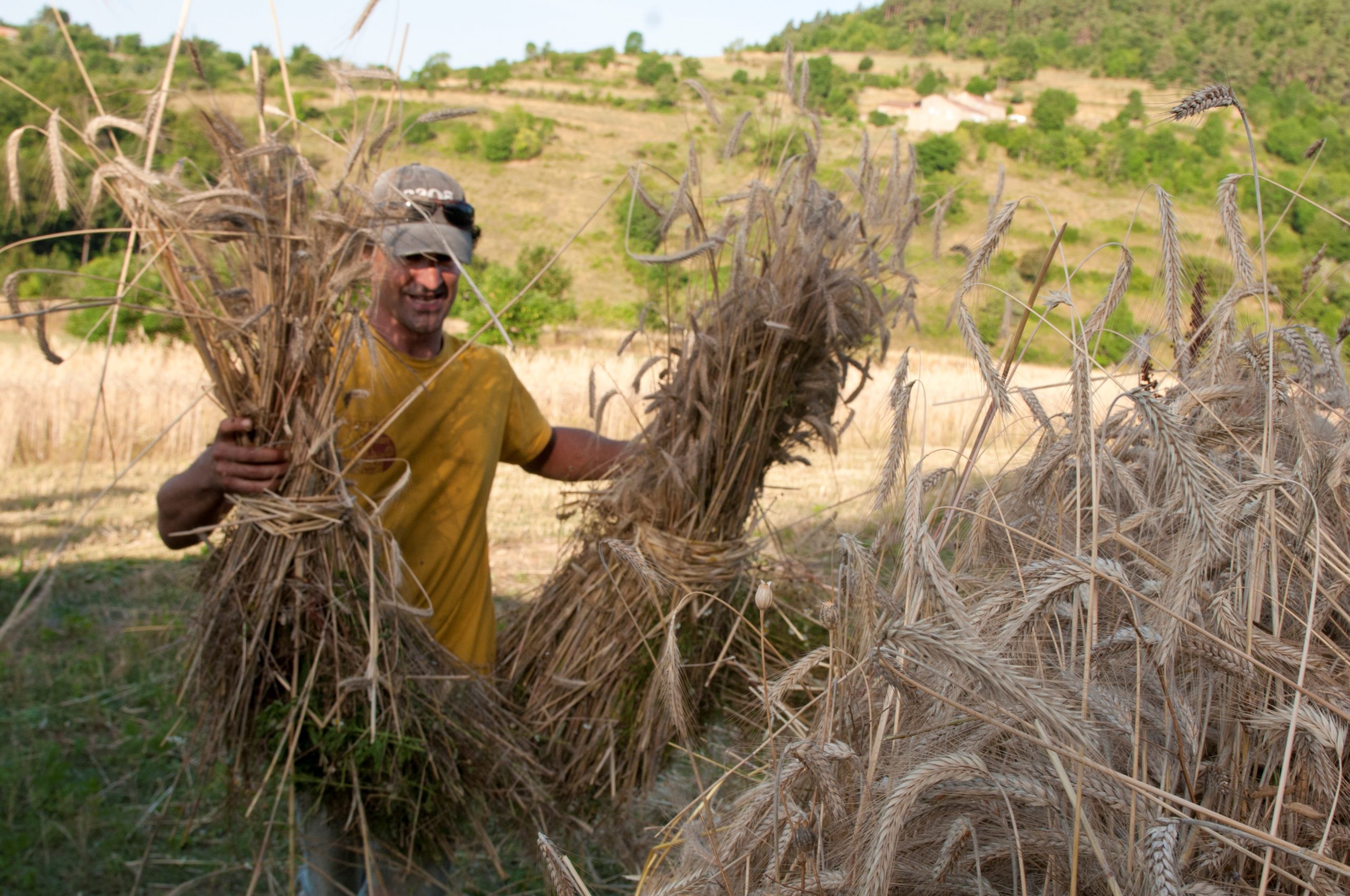 découvrez les pratiques d'agriculture durable qui préservent l'environnement, favorisent la biodiversité et assurent une production alimentaire responsable et éthique. apprenez comment adopter des méthodes respectueuses de la nature pour un avenir agricole durable.