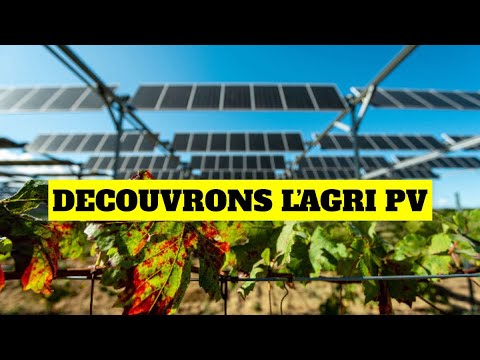 découvrez comment l'agriculture durable et l'énergie photovoltaïque s'unissent pour créer un avenir plus vert. explorez des pratiques innovantes qui maximisent la production agricole tout en préservant l'environnement grâce à l'énergie solaire.