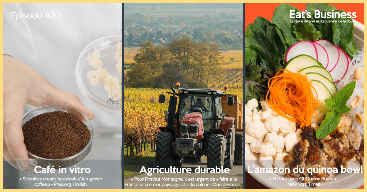 découvrez les pratiques de l'agriculture durable qui préservent l'environnement tout en garantissant la sécurité alimentaire. apprenez comment cette approche innovante favorise la biodiversité et soutient les communautés rurales.