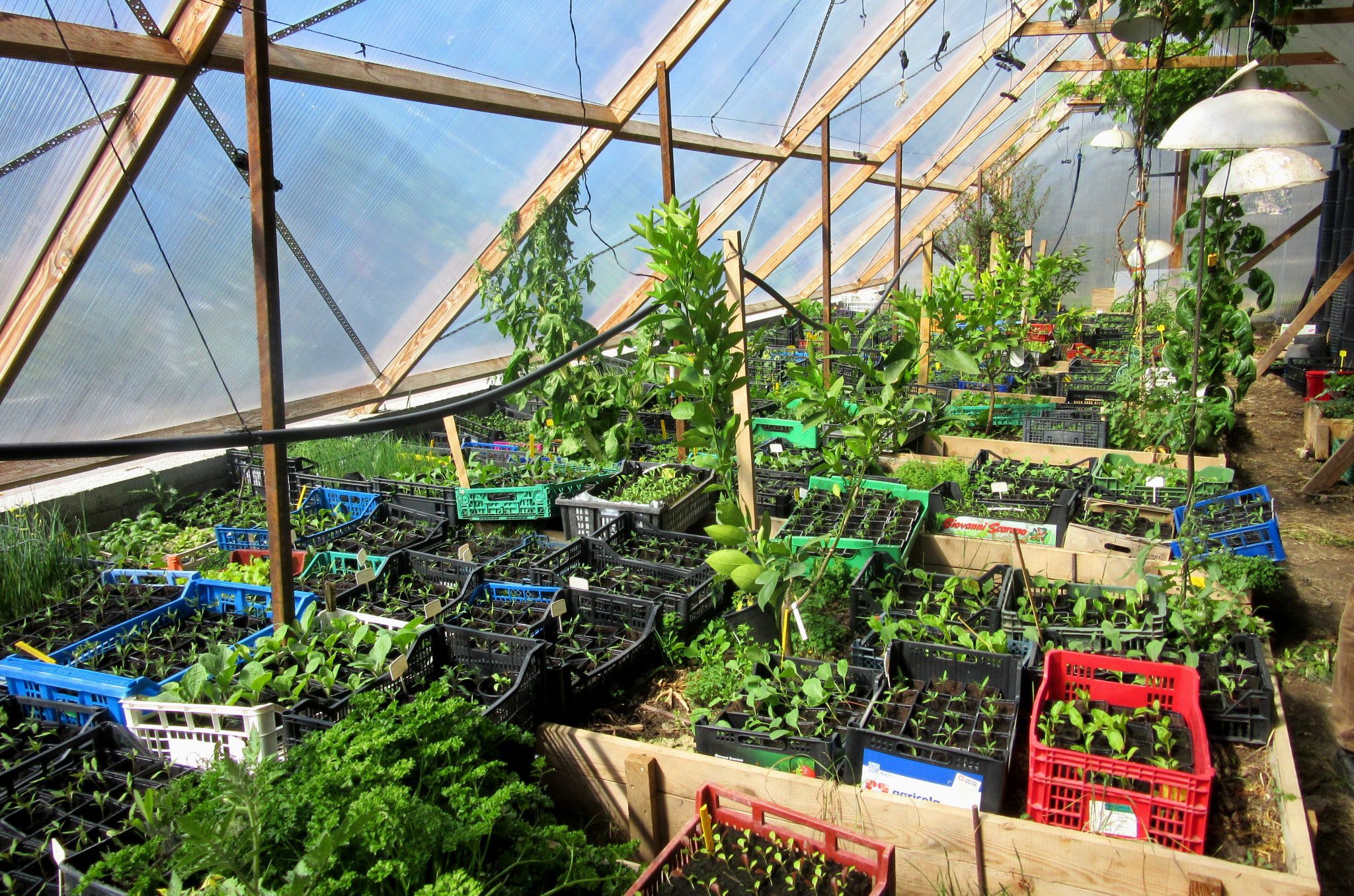 découvrez comment l'agriculture durable solaire transforme nos pratiques agricoles grâce à des technologies respectueuses de l'environnement. apprenez les avantages d'allier farming et énergie solaire pour une production alimentaire plus responsable et durable.