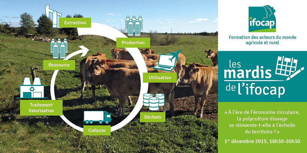 découvrez comment l'économie circulaire transforme l'agriculture en favorisant la durabilité, la réduction des déchets et l'optimisation des ressources. explorez des pratiques innovantes qui soutiennent un avenir agricole responsable et respectueux de l'environnement.