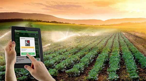 découvrez comment la blockchain transforme l'agriculture en améliorant la traçabilité, la transparence et l'efficacité des chaînes d'approvisionnement. explorez les innovations qui renforcent la confiance entre producteurs et consommateurs.