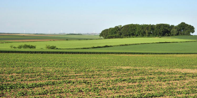 découvrez les principes de l'agriculture écologique, une méthode durable qui préserve l'environnement tout en produisant des aliments de qualité. apprenez comment cette approche favorise la biodiversité, réduit l'utilisation de produits chimiques et soutient les agriculteurs locaux.