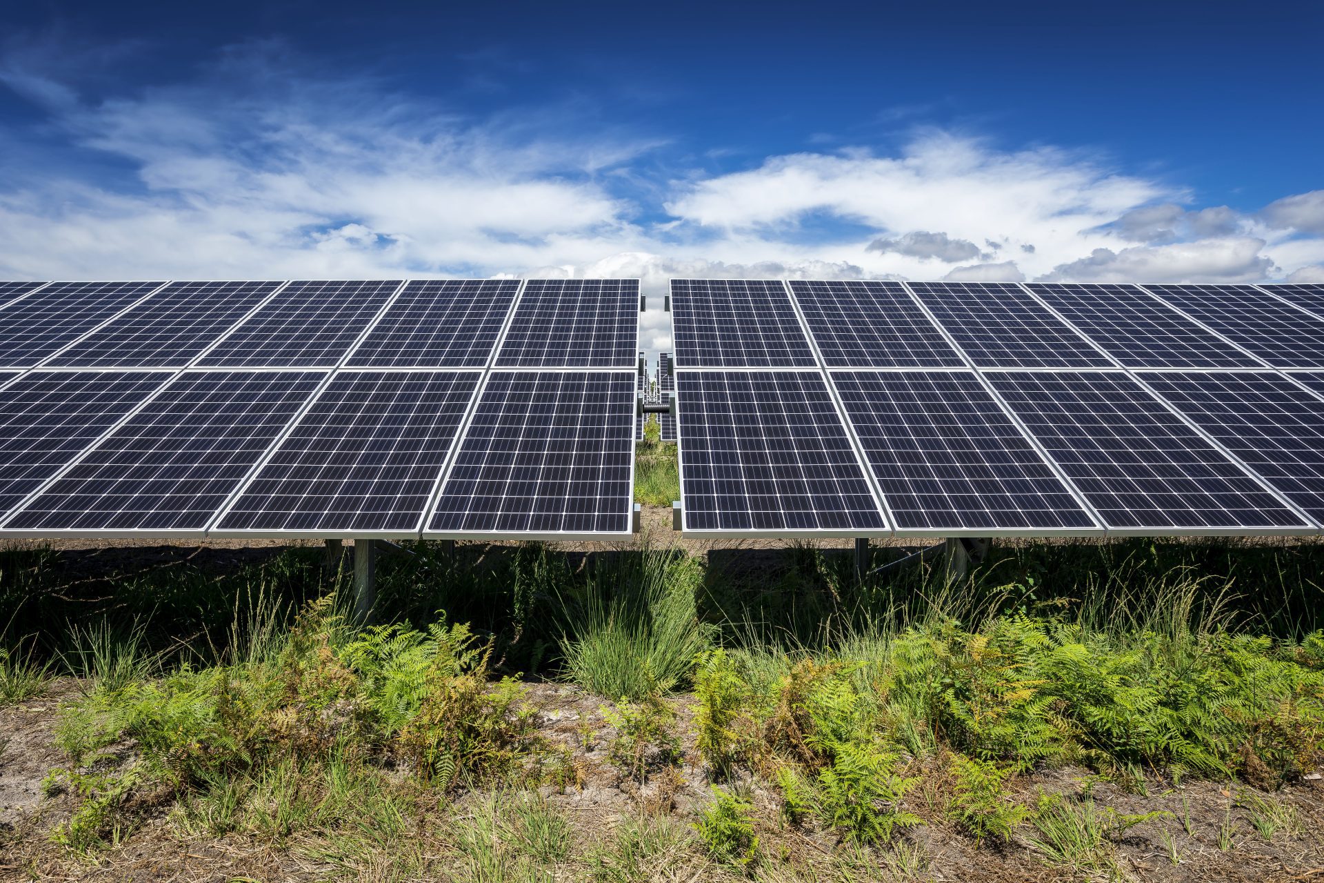 découvrez les avantages des systèmes photovoltaïques pour les entreprises industrielles. réduction des coûts énergétiques, durabilité accrue, et contribution à la transition énergétique. maximisez votre efficacité et votre image écoresponsable grâce à l'énergie solaire.