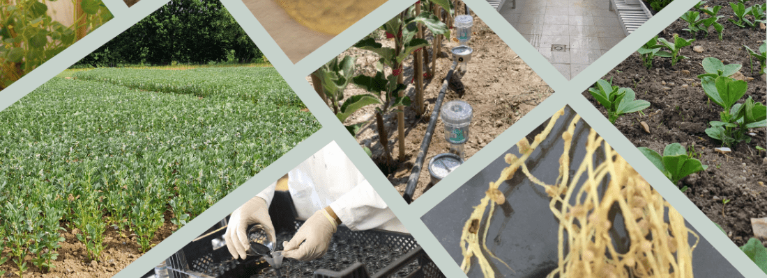 découvrez l'agriculture durable, une approche innovante visant à préserver l'environnement tout en produisant des aliments de qualité. explorez des pratiques respectueuses de la biodiversité, de la gestion des ressources naturelles et des méthodes de culture écologiques pour une agriculture responsable et pérenne.