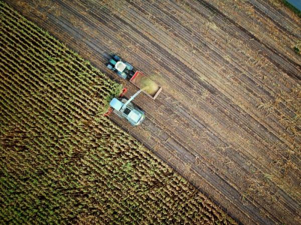 découvrez les principaux défis de l'agriculture écologique et comment ils impactent notre environnement. explorez des solutions innovantes pour une agriculture durable et respectueuse de la nature.