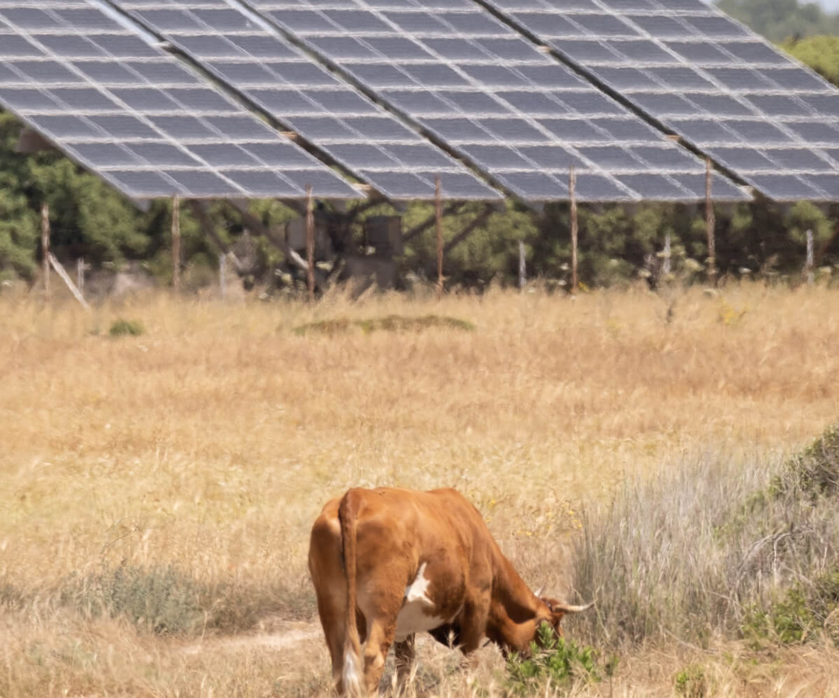 découvrez comment les panneaux solaires agricoles transforment l'énergie renouvelable en profit pour les exploitations agricoles. optimisez votre production tout en contribuant à la durabilité environnementale avec des solutions solaires adaptées à votre activité.