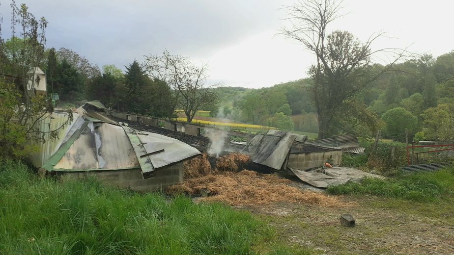 découvrez les erreurs courantes à éviter lors de la construction ou de l'aménagement de votre hangar agricole. maximisez l'efficacité de votre espace de stockage et améliorez la gestion de vos équipements agricoles grâce à nos conseils pratiques.