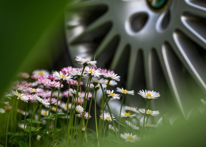 découvrez les dernières innovations vertes qui transforment notre planète. explorez des solutions durables et des technologies écologiques qui promeuvent un avenir respectueux de l'environnement.