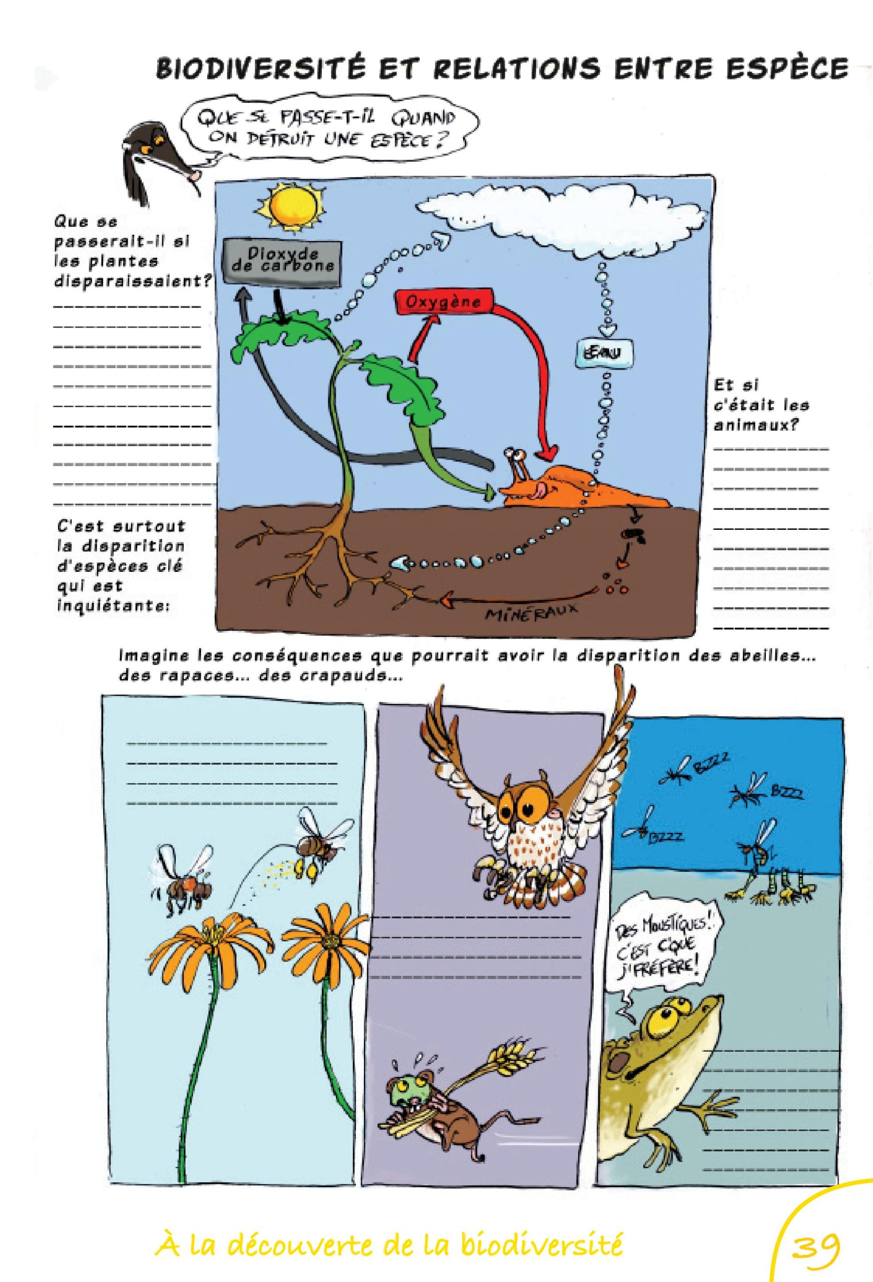 découvrez l'importance de la biodiversité et des écosystèmes dans notre environnement. explorez comment ces éléments interagissent pour maintenir l'équilibre naturel et pourquoi leur préservation est essentielle pour notre avenir.