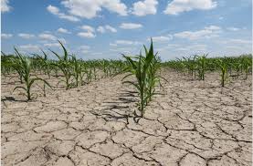 explorez les divers risques agricoles qui menacent la production et la sécurité alimentaire. découvrez les facteurs climatiques, économiques et environnementaux qui impactent les exploitations agricoles et les stratégies pour atténuer ces risques.