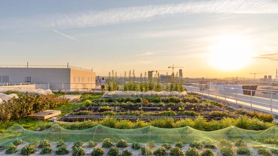 découvrez la culture verticale urbaine, une solution innovante pour cultiver des espaces verts en milieu urbain. apprenez comment cette méthode durable transforme les villes en jardins luxuriants, favorise la biodiversité et améliore la qualité de l'air tout en optimisant l'utilisation de l'espace.