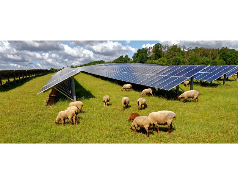 découvrez comment maximiser la rentabilité de votre hangar grâce à l'installation de panneaux photovoltaïques. optimisez vos coûts d'énergie et contribuez à la transition énergétique tout en valorisant votre espace.