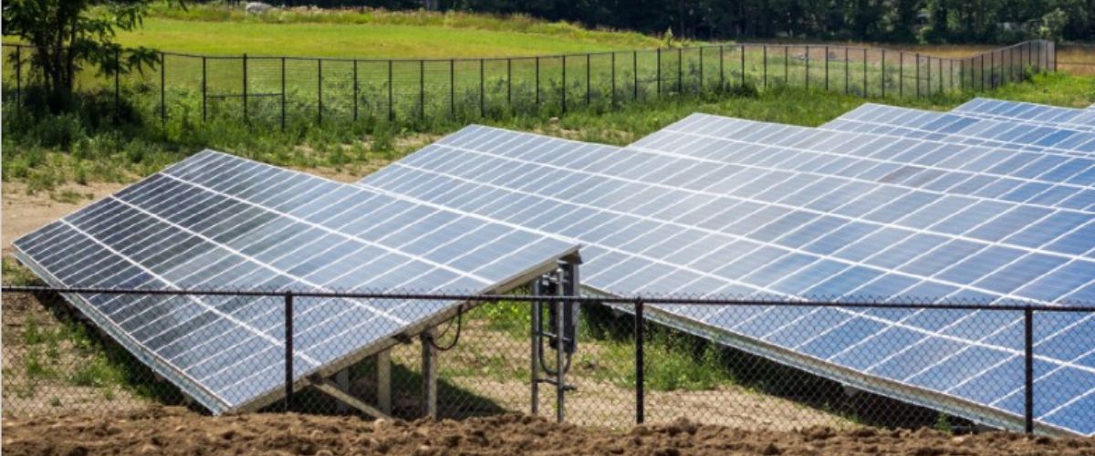 découvrez les tendances et innovations du photovoltaïque agricole en 2025. optimisez la rentabilité de vos exploitations tout en contribuant à une agriculture durable grâce à l'énergie solaire.