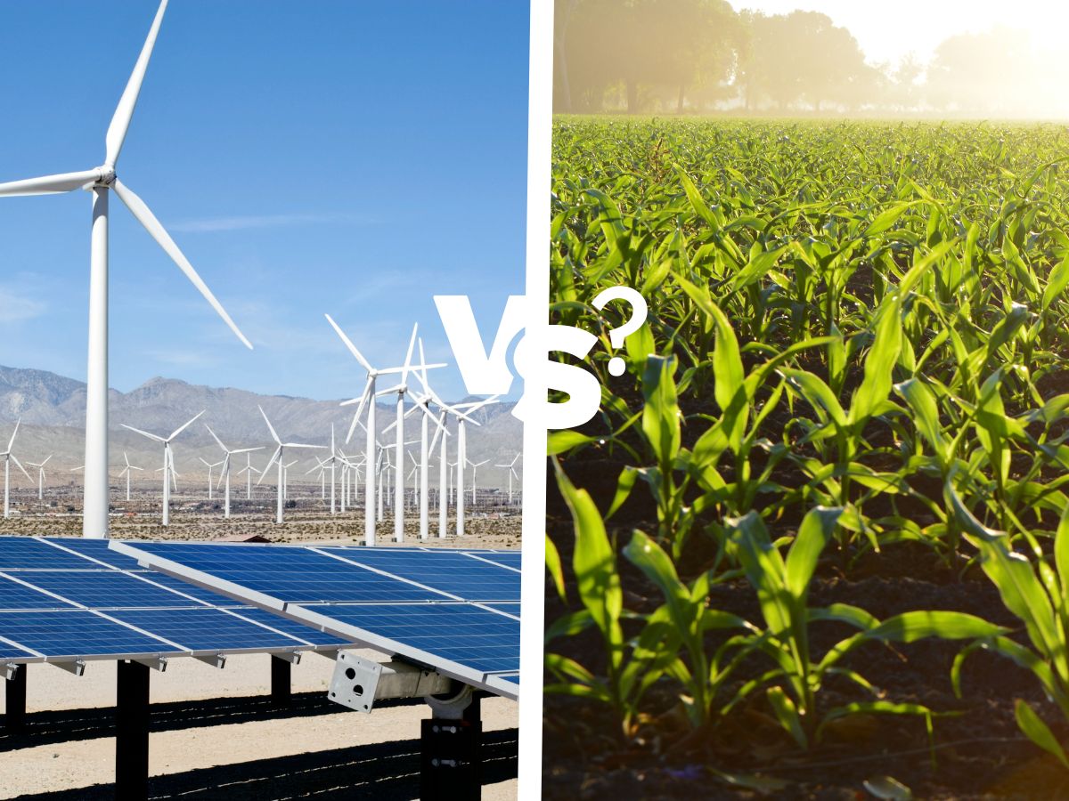 découvrez l'agriculture renouvelable, une solution innovante et durable pour cultiver nos ressources alimentaires tout en préservant notre environnement. explorez les techniques, les avantages et l'impact positif sur la planète.