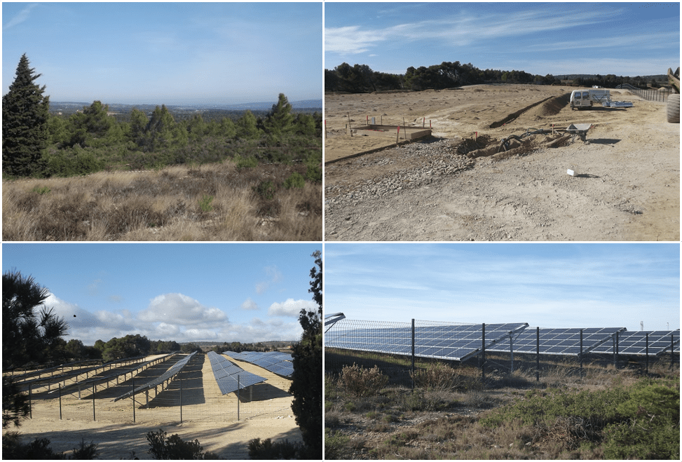 découvrez comment la biodiversité et l'énergie photovoltaïque peuvent coexister et s'enrichir mutuellement. explorez les solutions durables qui préservent la nature tout en favorisant une transition énergétique responsable.