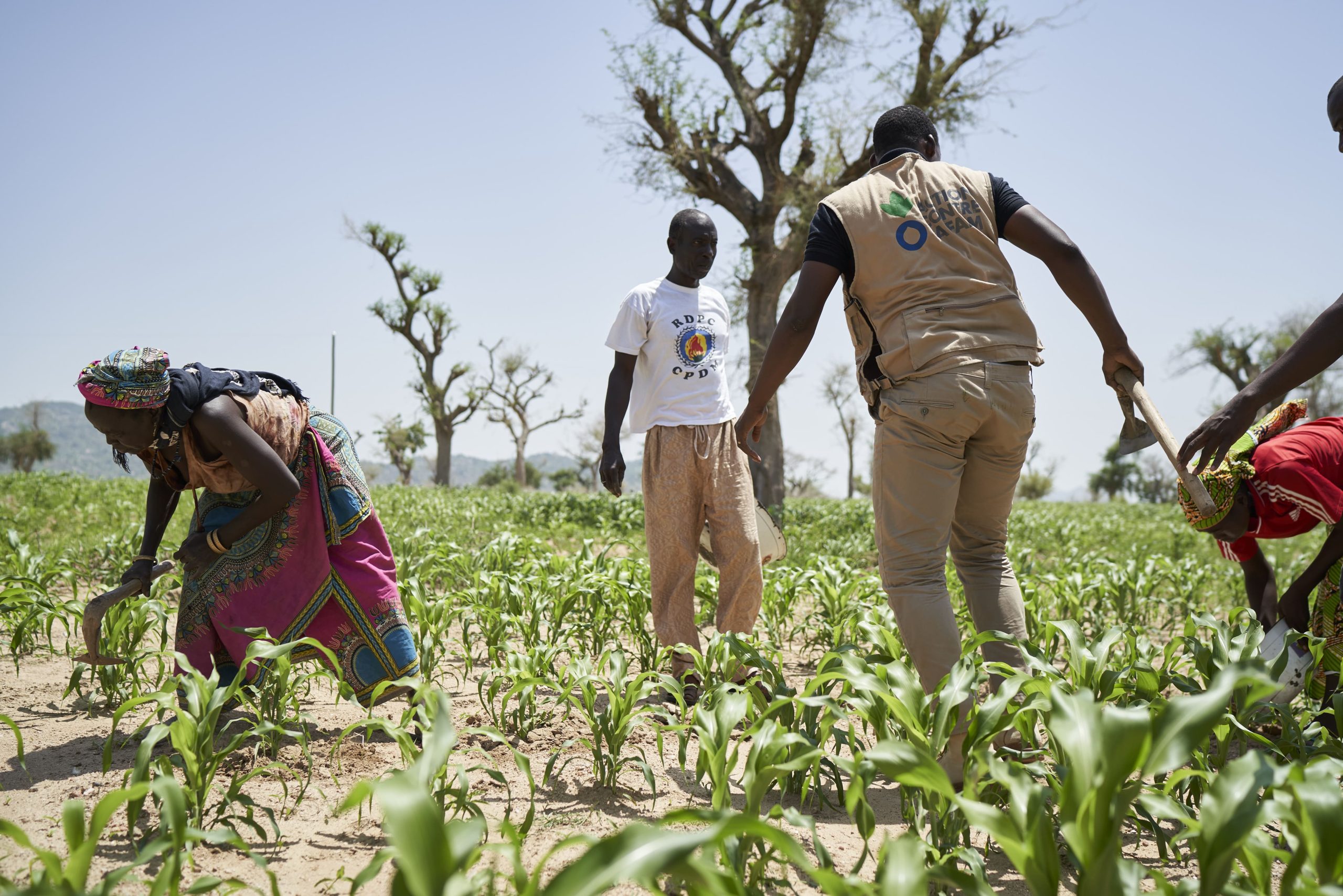 découvrez comment l'agriculture écologique transforme le paysage économique, favorisant la durabilité et l'innovation tout en soutenant les communautés locales. explorez les impacts positifs sur les marchés, l'emploi et l'environnement.