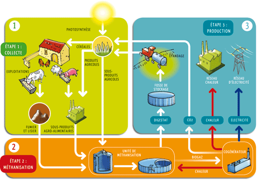 découvrez comment la biomasse joue un rôle clé dans la transition énergétique en offrant des solutions renouvelables et durables. apprenez les avantages de cette source d'énergie et son impact positif sur l'environnement.