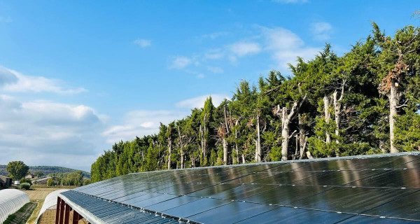 découvrez les avantages des panneaux solaires pour votre hangar agricole. augmentez votre indépendance énergétique, réduisez vos coûts d'électricité et contribuez à un avenir durable grâce à une installation de panneaux solaires adaptée à vos besoins.