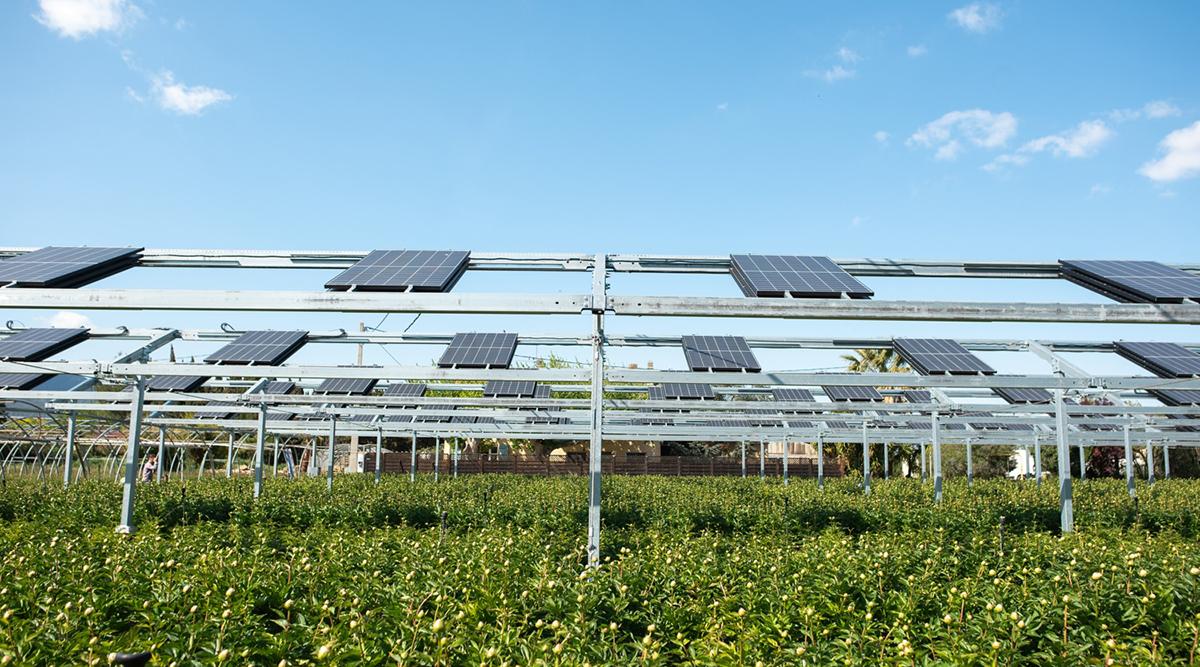 découvrez comment les panneaux photovoltaïques agricoles transforment l'agriculture durable en permettant une production d'énergie renouvelable tout en maximisant les rendements des cultures. explorez les avantages économiques, environnementaux et techniques de cette solution innovante.