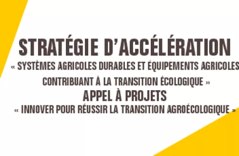 découvrez comment les partenariats agricoles durables transforment l'agriculture en favorisant l'innovation, la préservation de l'environnement et le développement économique. un engagement pour un avenir respectueux de la planète et des communautés.