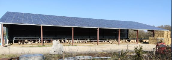 découvrez comment investir dans un hangar en bois équipé de panneaux photovoltaïques pour allier durabilité et rentabilité. profitez des avantages d'une structure éco-responsable tout en générant de l'énergie verte.