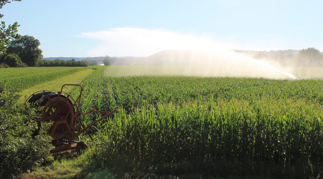 découvrez les méthodes d'irrigation durable qui préservent les ressources en eau tout en maximisant la productivité agricole. apprenez comment ces pratiques innovantes contribuent à un avenir plus vert et durable.